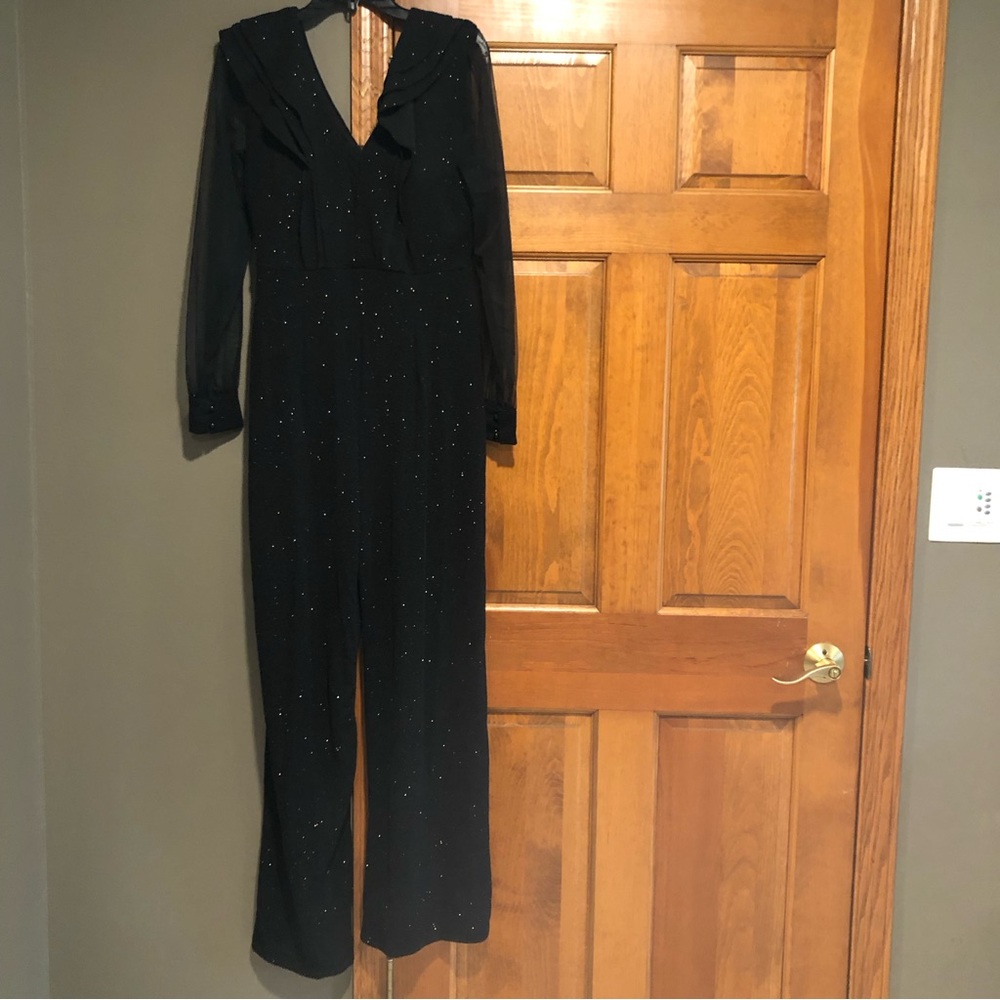 Arin V Neck Sheer Sleeves Jumpsuit 40